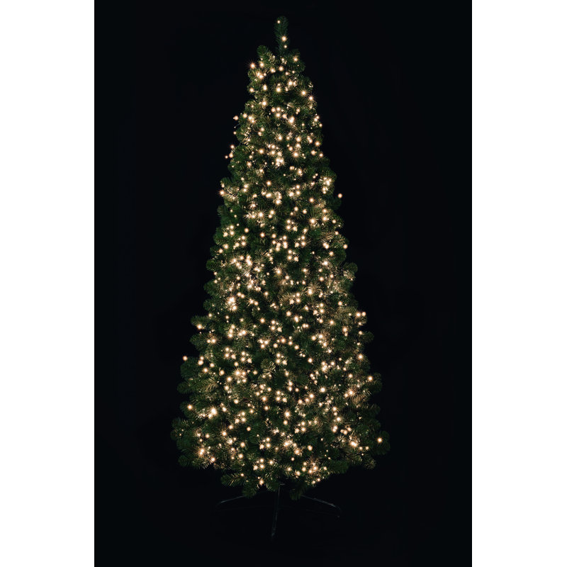 1000 LED Treebrights, Warm White, 8 Hours on/16 Hours off