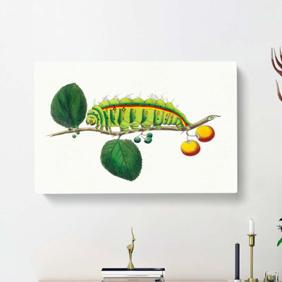 Caterpillar by George Shaw - Wrapped Canvas