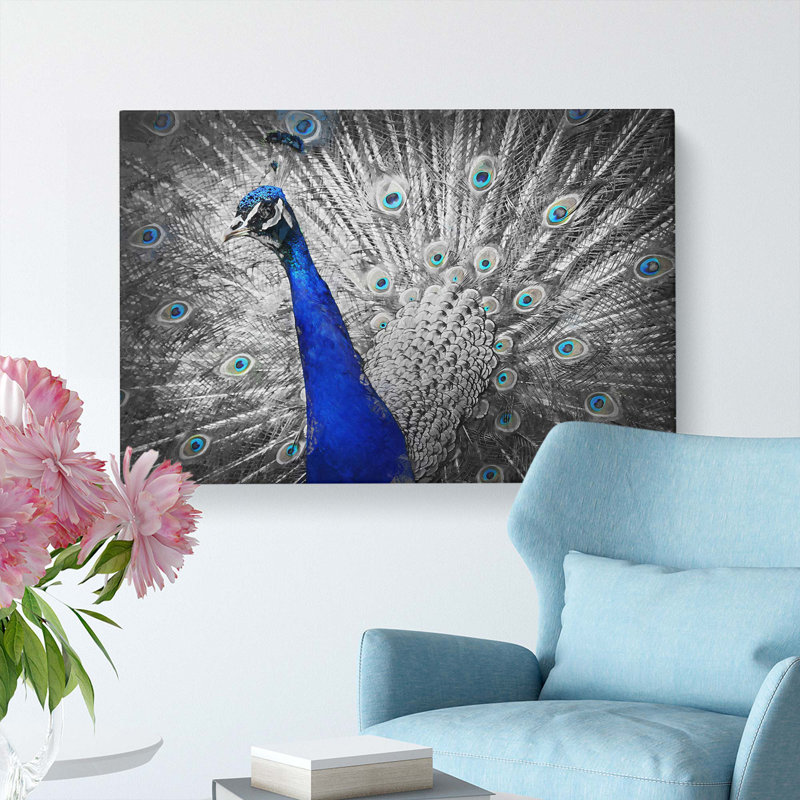 Peacock With Its Feathers Spread - Wrapped Canvas, 60cm H x 91cm W x 3cm D