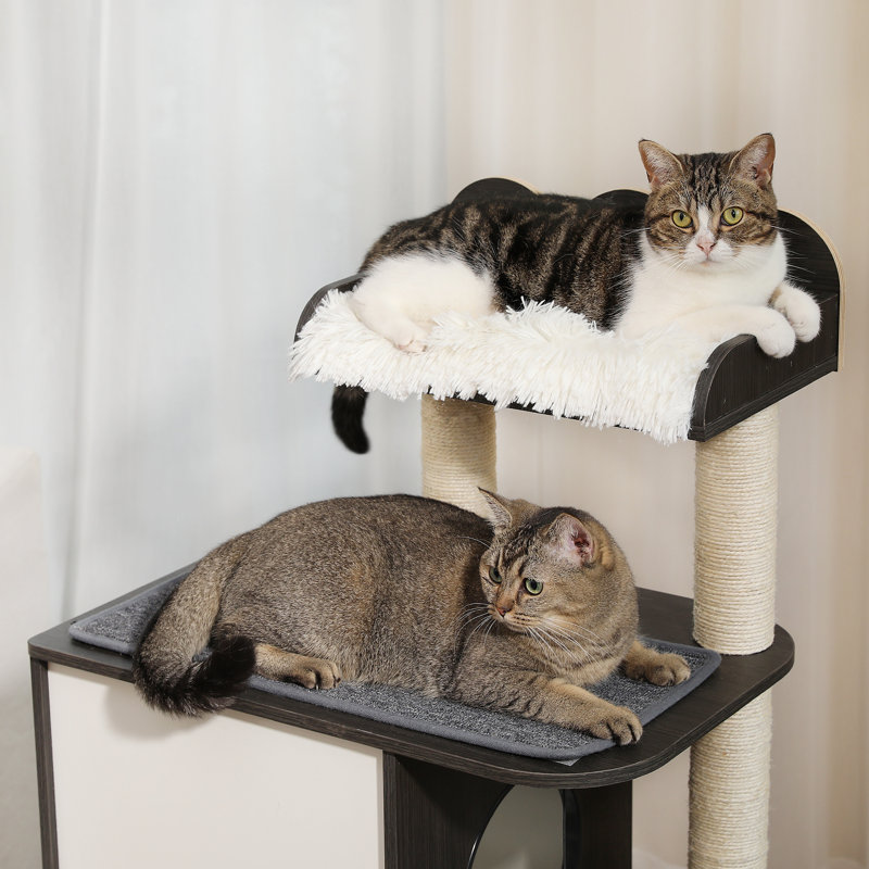 Tour pour chat moderne de 47 po avec condo à 2 étages, poteaux à griffer en sisal pour chat, boules suspendues, Noir