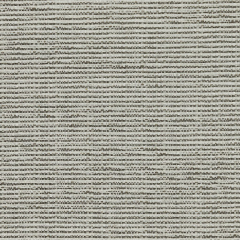 Tissu Bronco, Bouleau