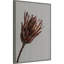 Momo by Ripalda Framed Canvas Wall Art Print-1455905796