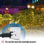 Fairy String Light-508231653-508231654