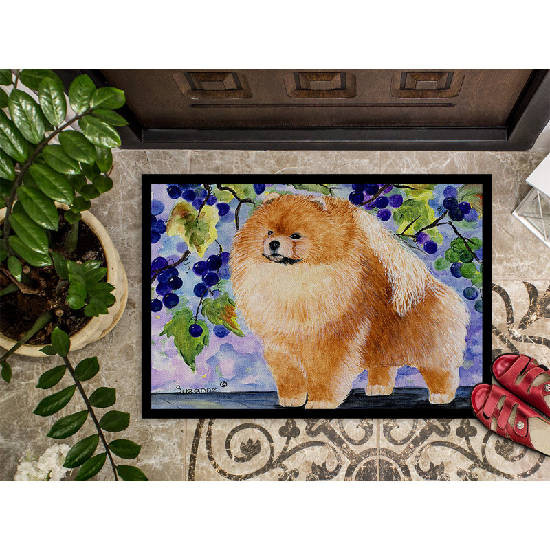 Tapis de porte d’intérieur anti-dérapants avec grappes de raisins poméranie, Rectangle 2 pi x 3 pi
