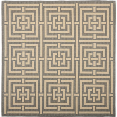 Tapis intérieur / extérieur gris / crème Arneshia