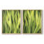 «Blades of Grass I», reproduction encadrée de qualité supérieure - prête à être accrochée - aucun clou requis - aucun clou requis-16795715-16795718
