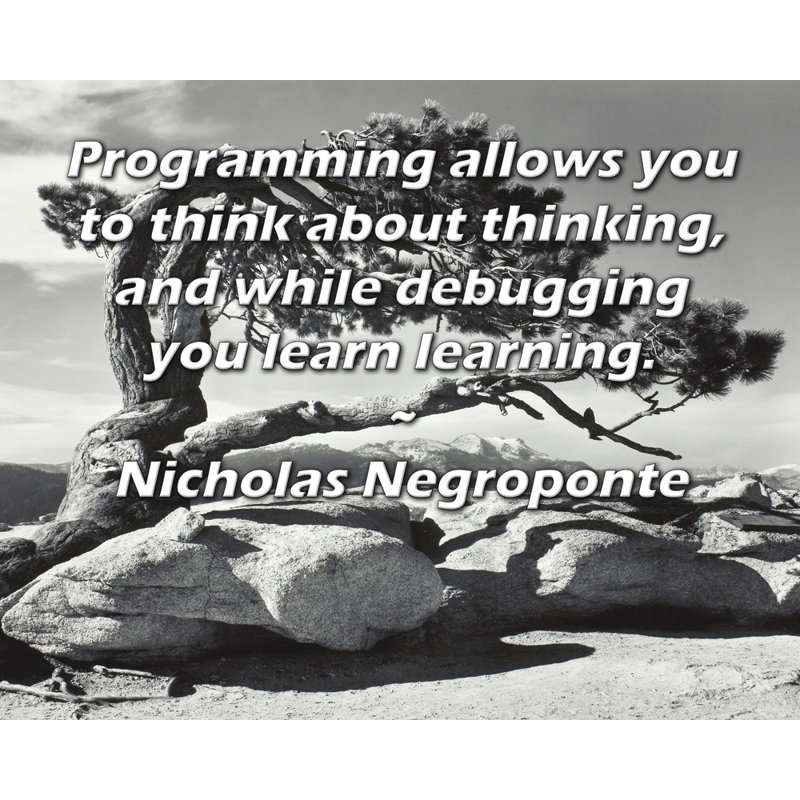 ArtsyQuotes Gallery Wrapped Canvas By Nicholas Negroponte: "Programming allows you to think about thinking, and while debugging you learn learning."