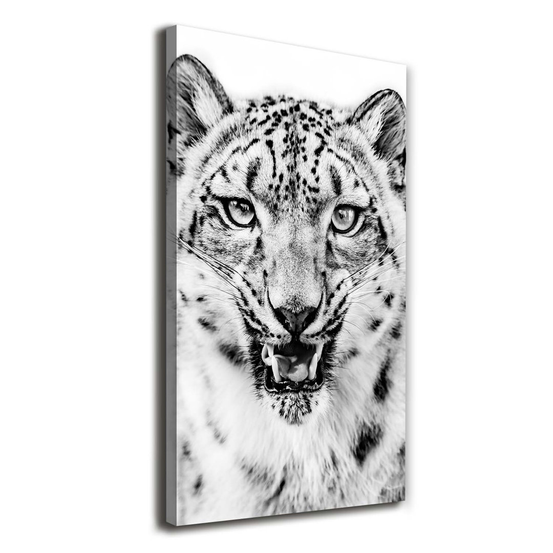 Schneepanther - Kunstdruck auf Leinwand - Wrapped Canvas