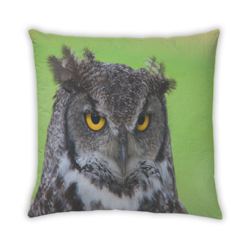 Throw Pillow, Microsuede