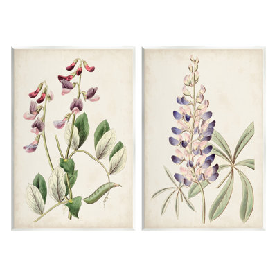 Foxglove, études latines, ensemble de 2 plaques murales par Ridgeway