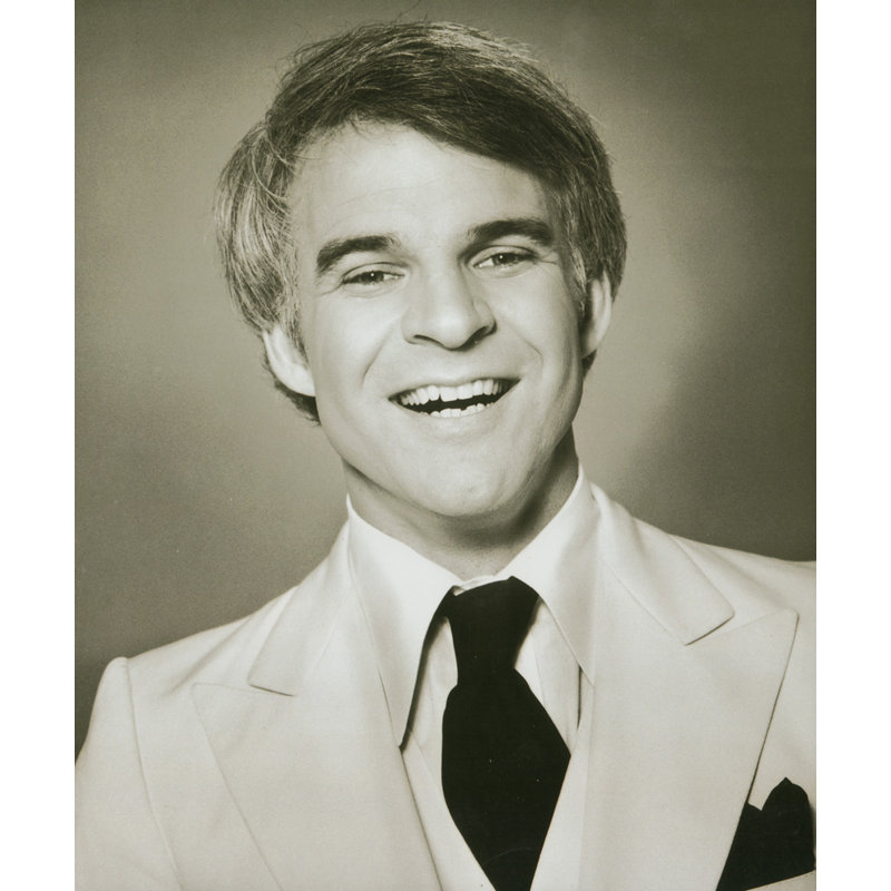 Steve Martin, 24" H x 20" W
