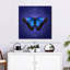 Papillon Morpho bleu brillant d'Aadam