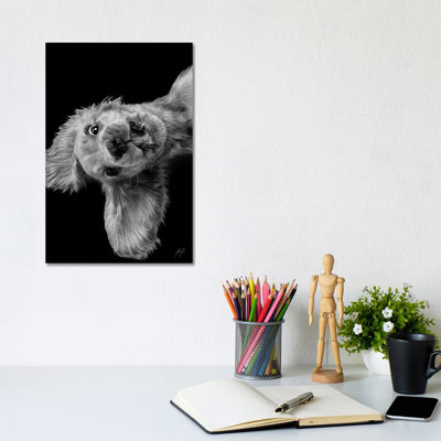 Freaky Friday by Kathrin Federer  Wrapped Canvas Print