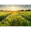 Canyon Home Decor-93997100