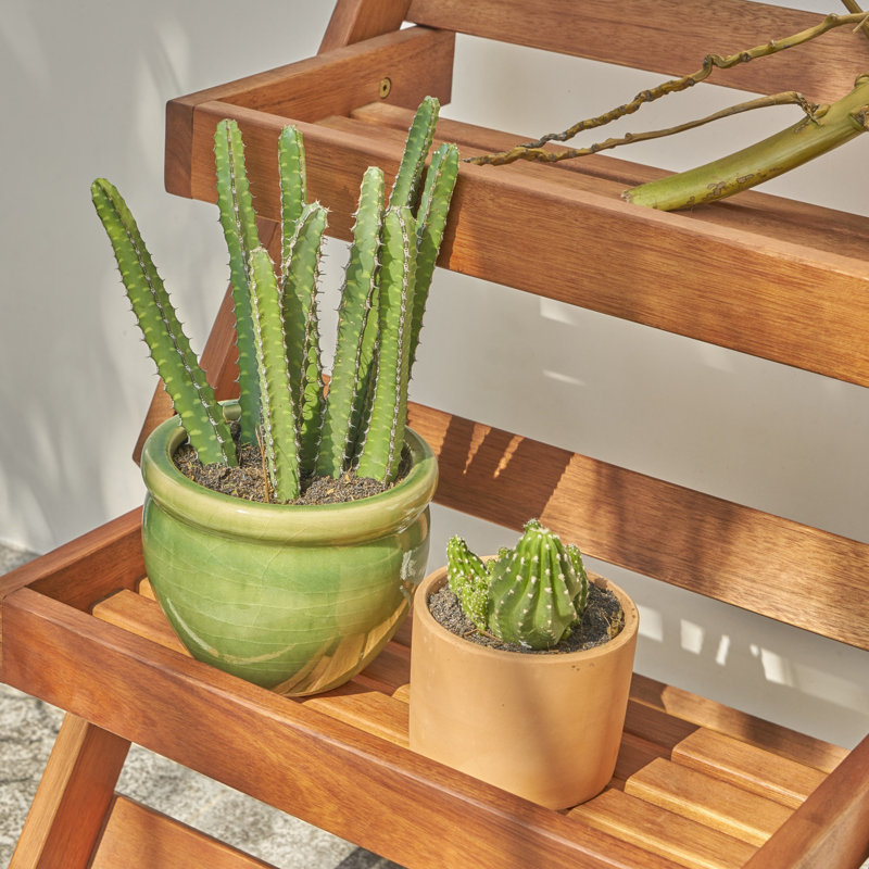 Juridia Plant Stand