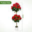 120cm Plant