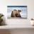 Brampt Bear Cub Siblings-108818550