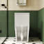 Toilette en céramique, siège allongé, blanc, confortable, 1,1 / 1,6, et cuve allongée à hauteur de confort T036wt,