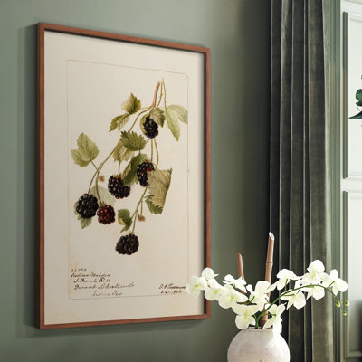 «Vintage Floral Print XLIV» sur papier