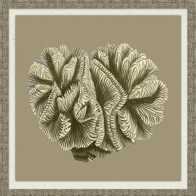 Graphic Coral Collection 4' Framed Graphic Art Print on Glass