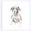 « pit bull chiot », impression sur toile-31857667