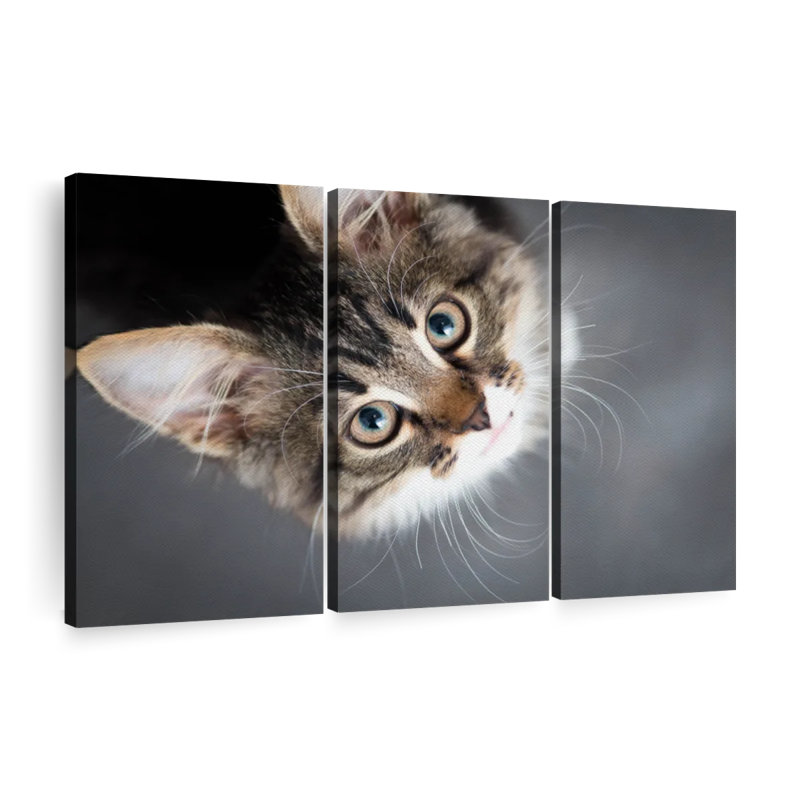 «A Cat» 3 pièces, H 48 po x l 74 po x P 1,25 po