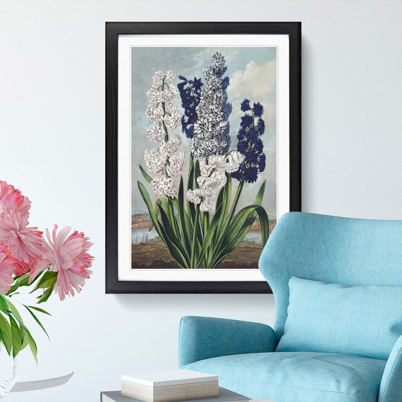Hyacinths by R.J. Thornton - Picture Frame Painting Print, Black Framed, 65cm H x 48cm W x 2cm D