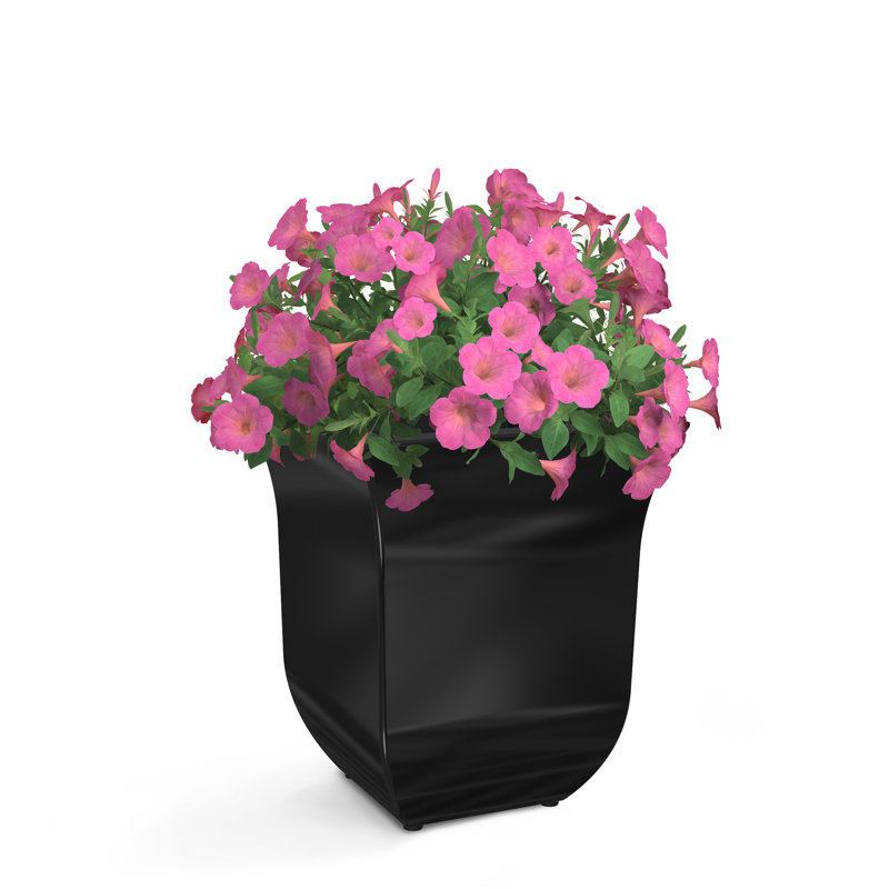 Pot à fleurs en résine Nadja, Noir, 1