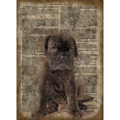Cane Corso Vintage Paper - No Frame Print