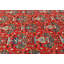 Tapis oriental rouge et orange unique 10X13 One-of-a-Kind