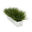 Herbe d'oignon artificielle en pot-1435386111-1435473018-1435473021