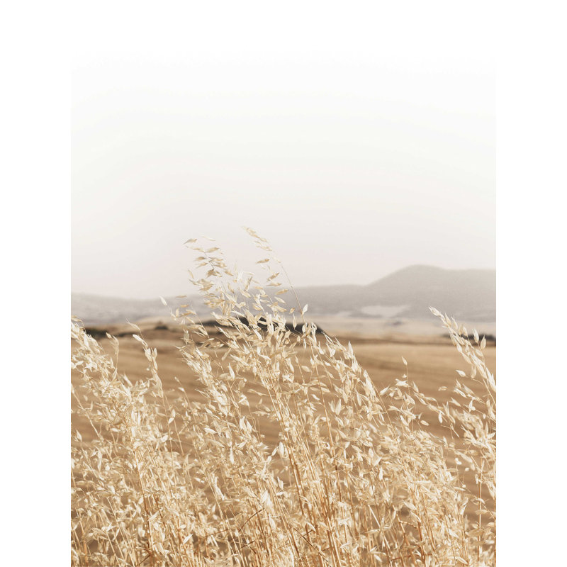 «Wheat Field with Breeze», reproduction sur toile tendue, H 16 po x l 12 po