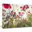 «Poppy Flowers on Summer Meadow», reproduction de photo sur toile tendue-19407419-33309462