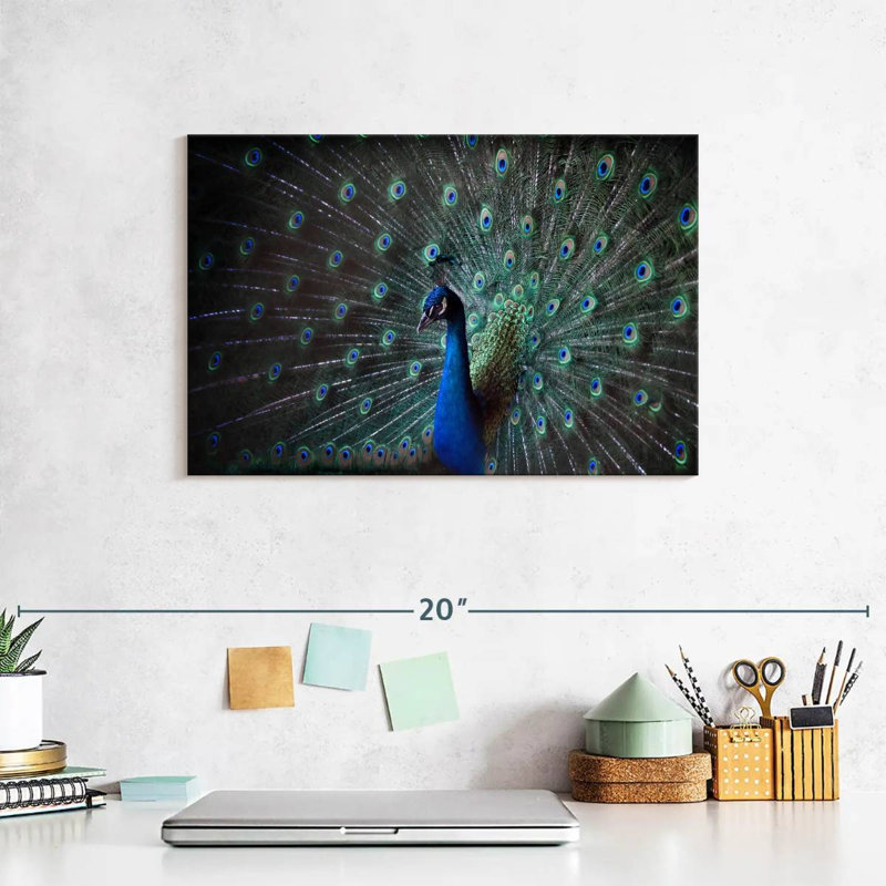 Noble Blue Peacock, 8" H x 12" W