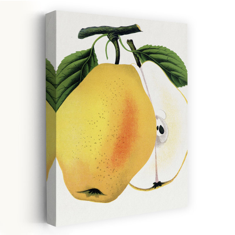 «Kiefer's Hybrid Pear Lithograph Retro Rustic Vintage Flower Fruit», art mural, H 24 po x l 16 po