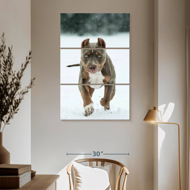 Brampt Pit Bull On Snow, 65" H x 42" W