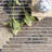 Jacaria Abstract Gray/Beige/Black Area Rug-1468245599