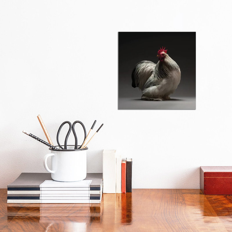 Columbian Cochin Bantam - Wrapped Canvas Print, 30.48 cm H x 30.48 cm W