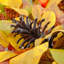RUSTIC HARVEST - 26" Wreath with 75 Warm White LED Microbulbs  