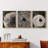 Abstract  Series  XLV  -Set Of 3 Framed Giclee Prints -Ready to Hang-107257843-107257847