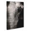 Mighty Elephant In The Shadows - Wrapped Canvas Print-55308235