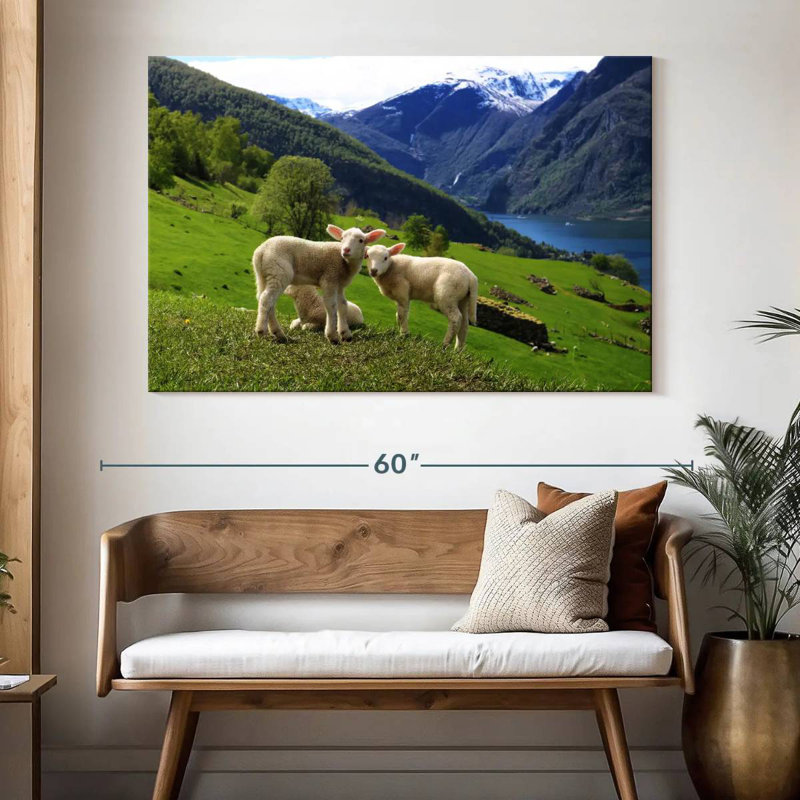 Norwegian Sheep