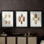 Lamarck Shells I - reproduction sur mesure encadrée de qualité supérieure - 3 pièces-1358343970