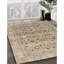 Anwen Oriental Indoor Rug-338005730