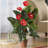 Anthurium Silk Plant