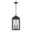 Yaelle 2 - Light LED Outdoor Hanging Lantern