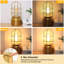 Lampe de fantaisie Lundeen-637564589