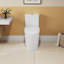 Elongated Ceramic Toilet, White, 1.1/1.6 , Comfort Height, Soft Close Seat, & , T036wt Elongated, Comfortable,
