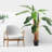 158.5cm Artificial Banana Leaf Tree in Pot