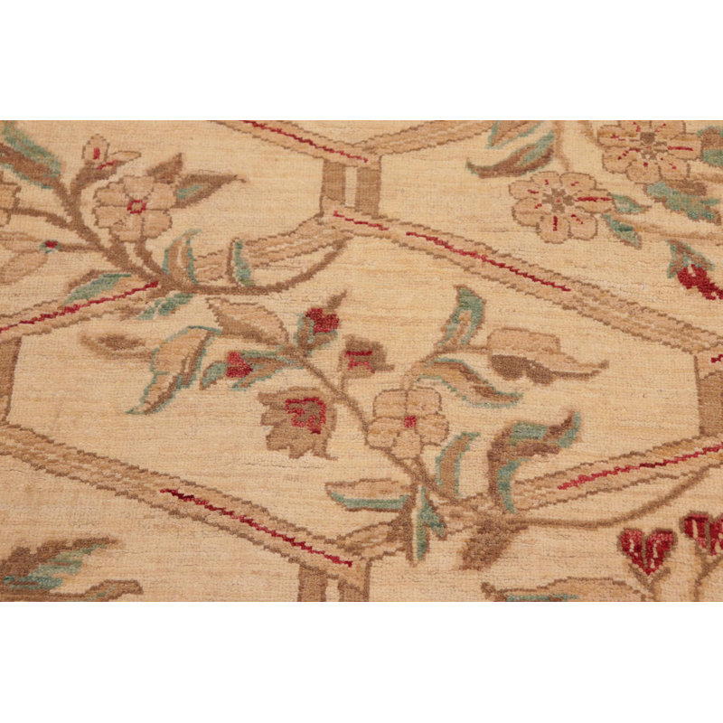 Baccio Wool Oriental Rug